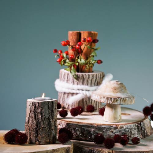 Floristik24 Holzpilz Natur/Weiß H10cm