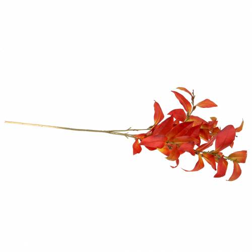 Floristik24 Herbstzweig 72cm