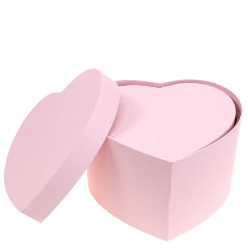 Floristik24 Blumenbox Herz Rosa Ø18/20cm 2er-Set