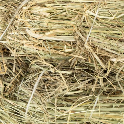 Artikel Heukränze Tischdeko Naturmaterial Ø 31-32cm 5er Set