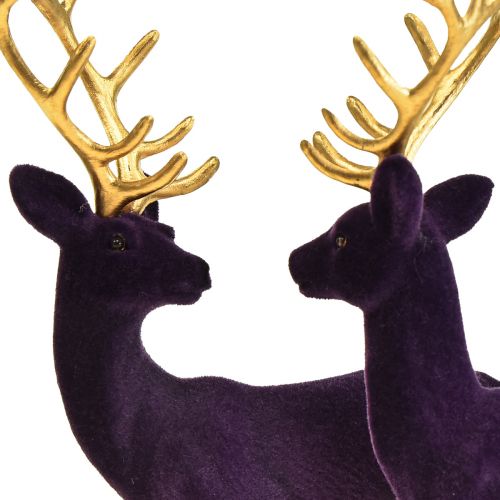 Floristik24 Hirsch Deko Rentier Violett Gold Kalb Beflockt 20cm 2er-Set