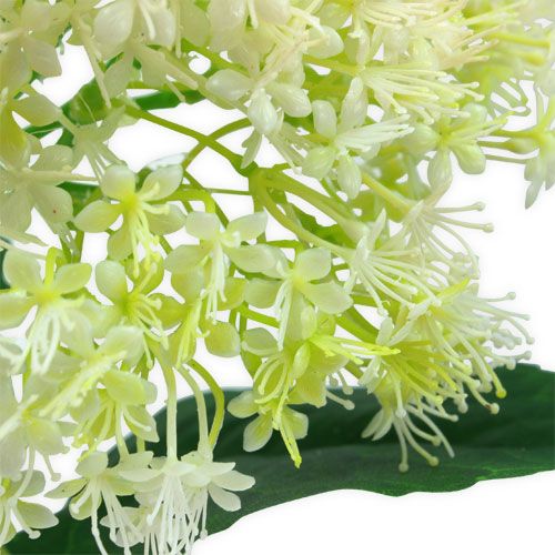 Floristik24 Holunder Weiß 42cm