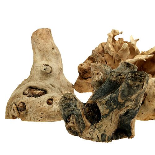 Floristik24 Holz Wurzeln Natur 8cm - 10cm 500g