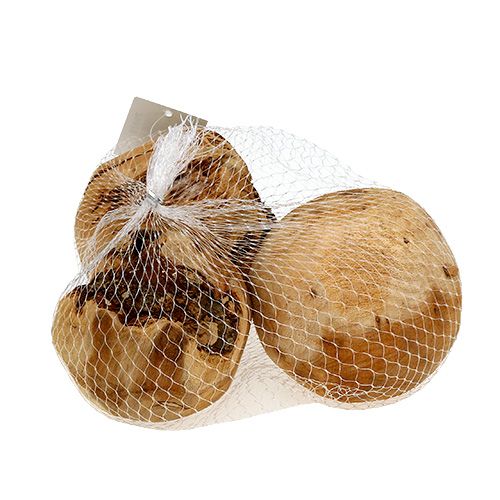 Floristik24 Holzball Tannenball Natur Ø9cm 3 St