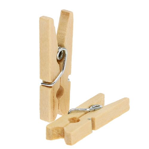 Floristik24 Holzklammern Natur 2,5cm 72 St
