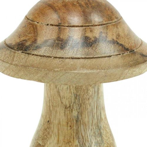 Artikel Holzpilz mit Rillen Herbst Deko Pilz Natur Mangoholz 10ר8cm