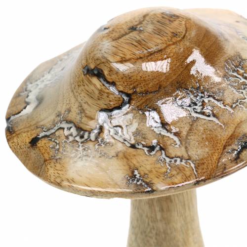 Floristik24 Holzpilz glasiert Natur/Weiß H20cm