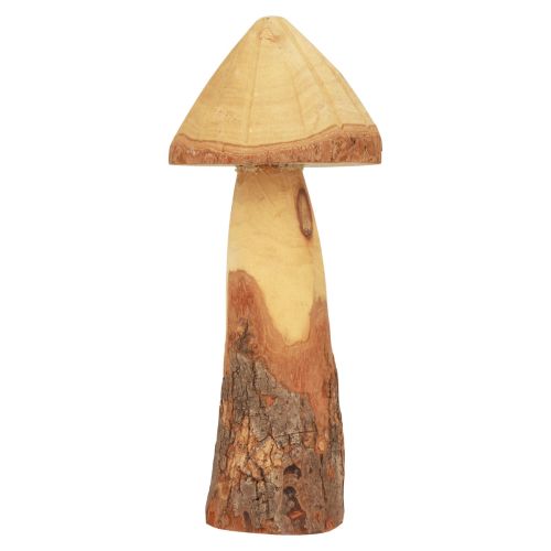 Floristik24 Holzpilze Deko Pilze Holz Deko Natur Tischdeko Herbst Ø11cm H28cm