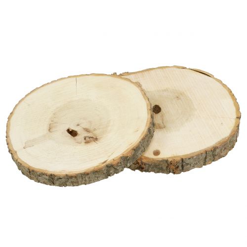 Floristik24 Holzscheibe Natur 20cm 2 St