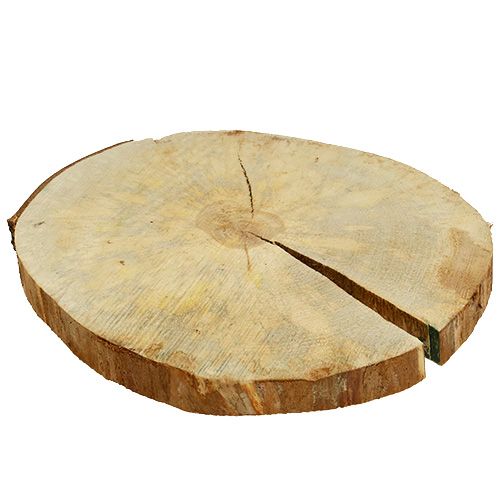 Floristik24 Holzscheibe Natur 25cm - 30cm