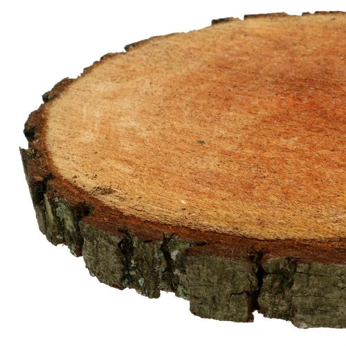 Floristik24 Holzscheibe aus Erle Natur Ø20cm - 24cm