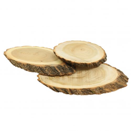 Floristik24 Holzscheiben oval Natur 20cm - 23cm 3 St