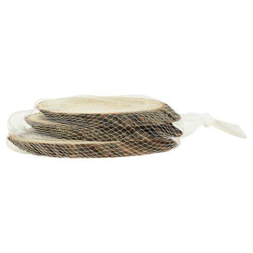 Floristik24 Holzscheiben oval Natur 20cm - 23cm 3 St