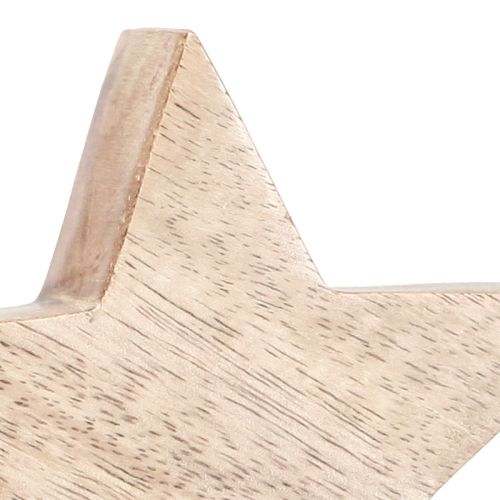 Floristik24 Holzstern Natur Stern Mangoholz Tischdeko Ø10cm 3 St
