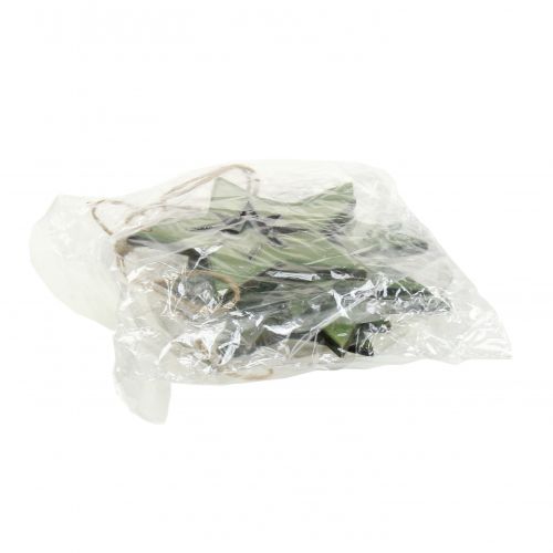 Artikel Holzstern mit Motiven Grün 11cm 6St