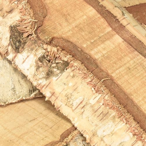 Floristik24 Holztablett mit Baumrinde Birke Holz Deko 25×10×2cm 4 St