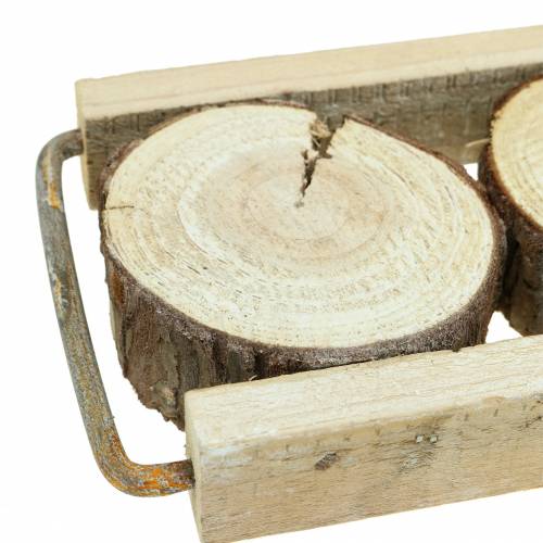 Artikel Dekotablett Holz mit Baumscheiben 34cm x 12cm H3cm