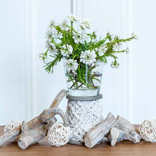 Floristik24 Holzwurzel Grau gewaschen 500g