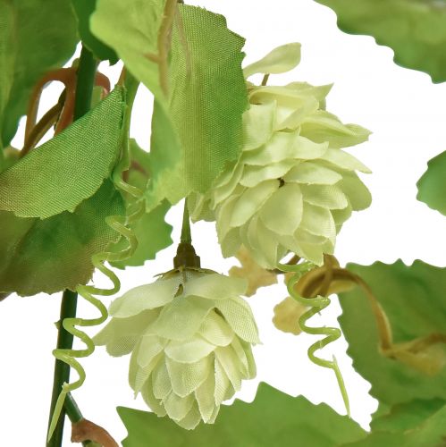 Floristik24 Blättergirlande Hopfen Girlande Grün Künstlich L180cm