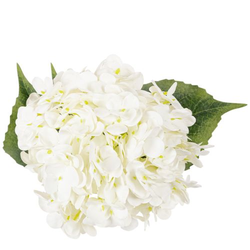 Hortensie künstlich Creme 60cm langstielig | Floristik24.ch