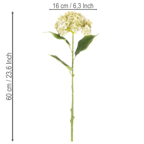 Künstliche Hortensie aus Seidenstoff mit Stiel und Blättern 60 cm creme-grün | Floristik24.ch