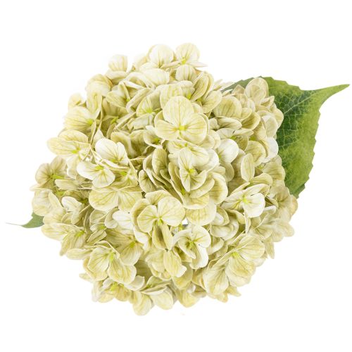 Künstliche Hortensie aus Seidenstoff mit Stiel und Blättern 60 cm creme-grün | Floristik24.ch