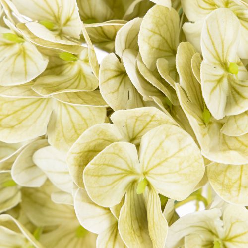 Künstliche Hortensie aus Seidenstoff mit Stiel und Blättern 60 cm creme-grün | Floristik24.ch