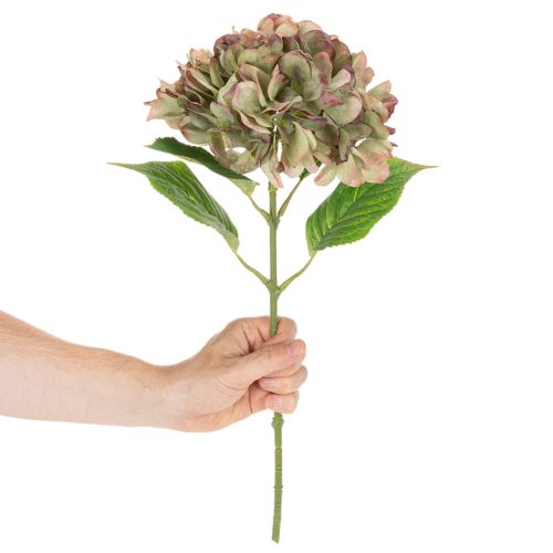 Künstliche Hortensie mit Stiel 46 cm aus Textil und Kunststoff in Hellgrün mit Rosa-Lila Rändern | Floristik24.ch