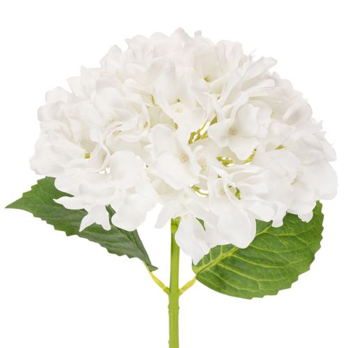 Künstliche Hortensienblume mit langem Stiel, 48 cm, weiss, für Dekoration online kaufen | Floristik24.ch