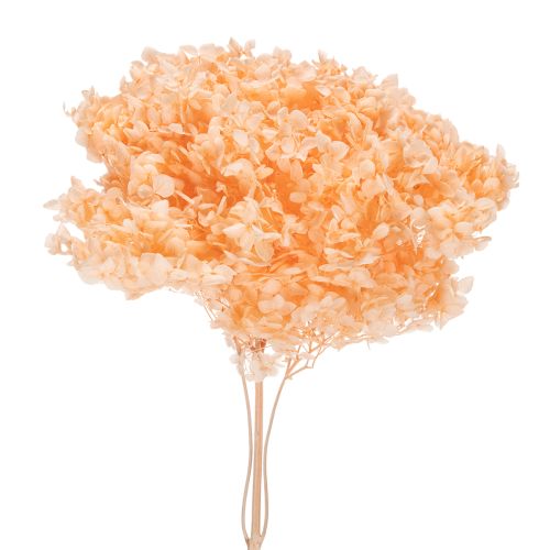 Hortensie Trockenblumenstrauß für elegante Floristik Dekorationen zuhause 65cm