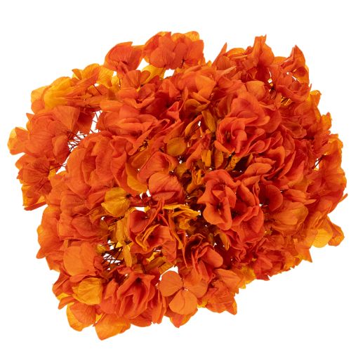 Konservierte Hortensie orange 60 cm mit grosser Blüte | Floristik24.ch