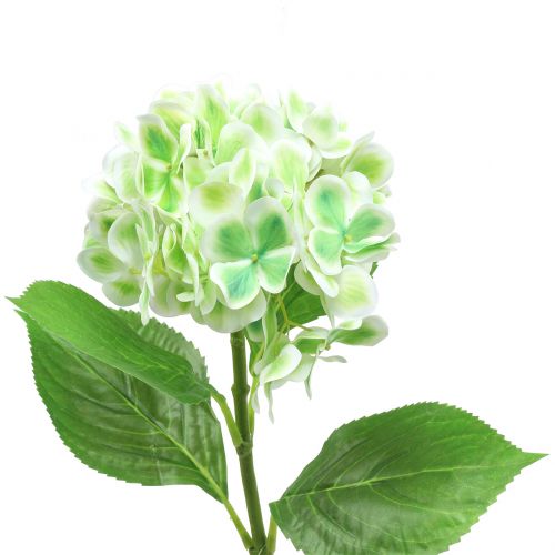 Floristik24 Hortensie künstlich Grün, Weiß 68cm