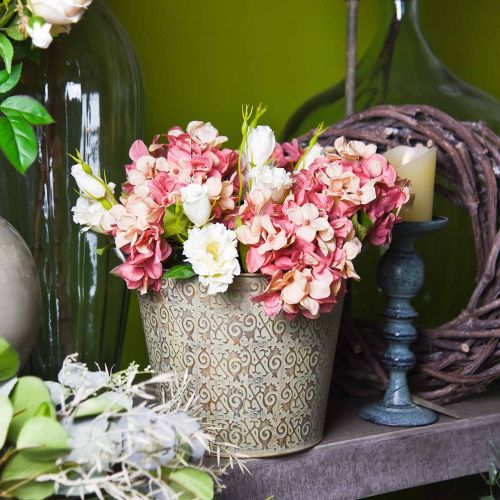 Floristik24 Hortensie Beige/ Rosa 35cm