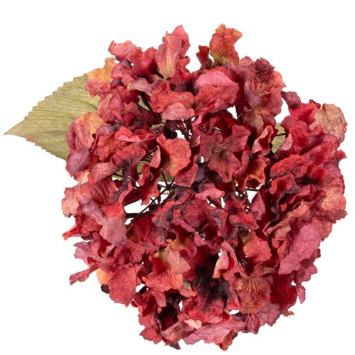 Künstlicher Hortensienzweig Rot 74cm | Floristik24.ch