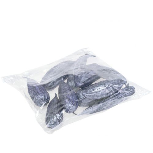 Floristik24 Luffa Frucht Violett 14cm – 20cm 10 St