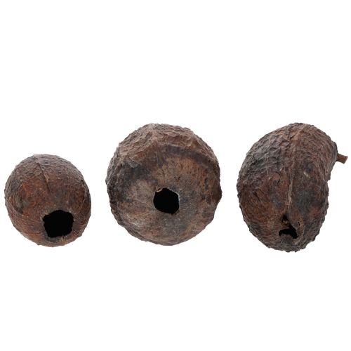 Artikel Kakaofrucht Natur 10-18cm 15St