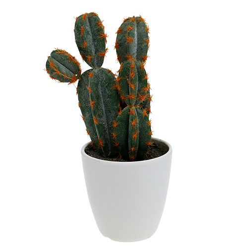 Kaktus Cereus Künstlich - Künstliche Pflanzen
