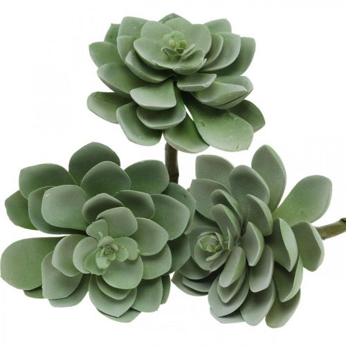 52cm Sukkulentenzweig grün grau schattiert Sukkulente Kaktus künstlich natur 