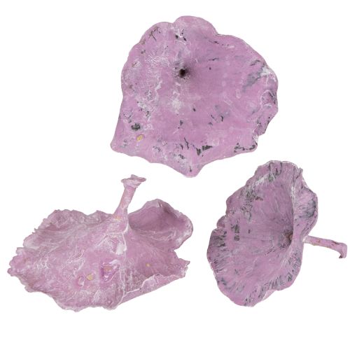 Kalix Pilz Lila, Weiß gewaschen 100 St