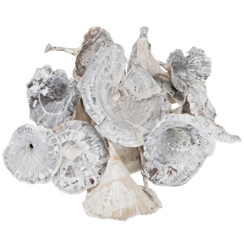 Artikel Kalix Pilz Weiß gewaschen 100 St