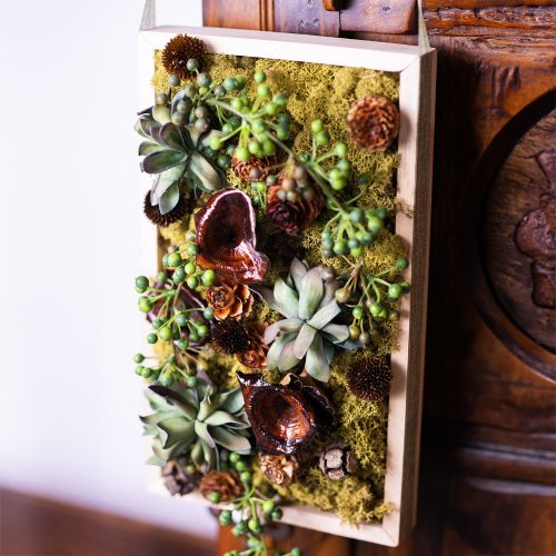 Artikel Kalix Pilz Natur lackiert Trockenpilze Deko Groß 50St