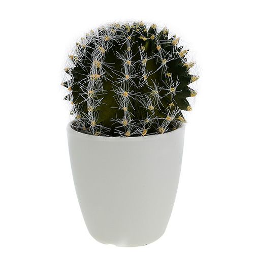 Kaktus im Topf Grün 14cm-800092-1