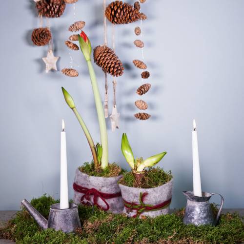 Floristik24 Kerzenhalter Kanne Antik-Optik H12/9cm 2St