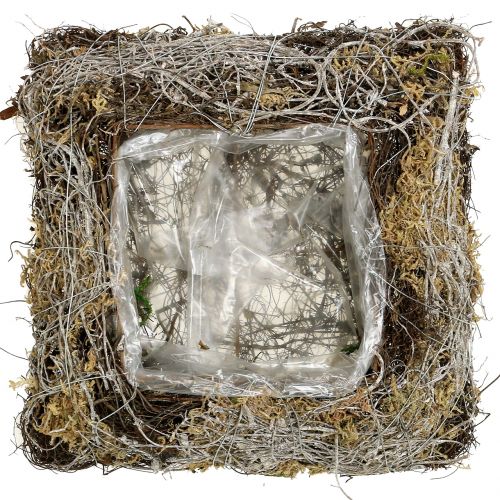 Kissen Moos / Rebe 20x20cm 3St