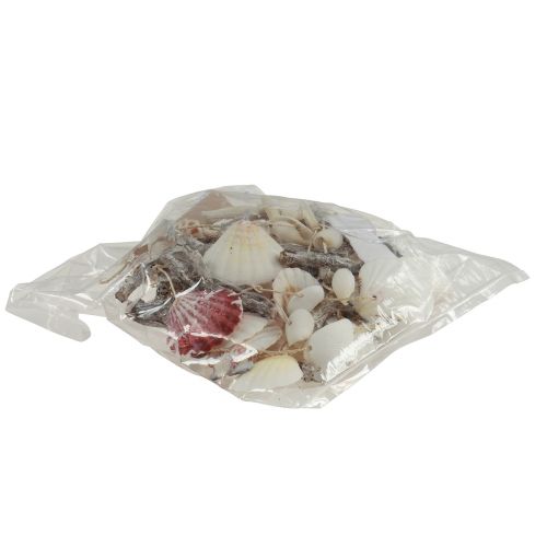 Floristik24 Klangspiel Windspiel Maritim Seestern Muscheln 80cm