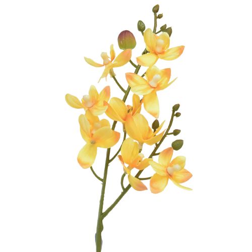 Floristik24 Kleine Orchidee Phalaenopsis künstlich Gelb 30cm