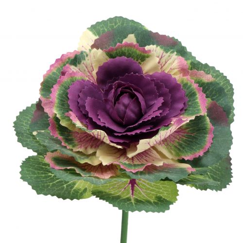 Floristik24 Künstlicher Zierkohl Violett, Grün 25cm 6St