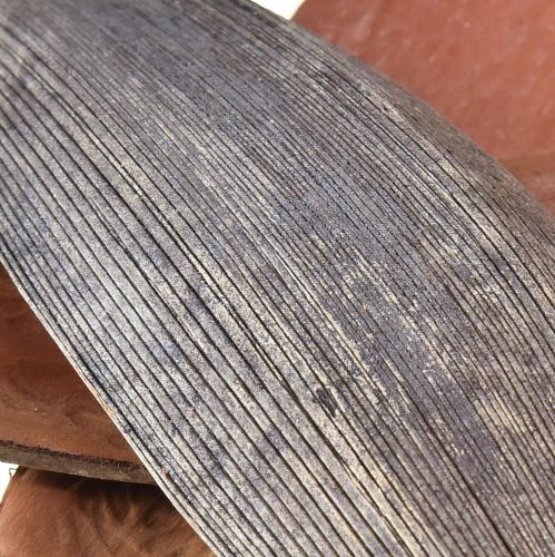 Floristik24 Kokosschalen Kokosblätter Natur getrocknet 22cm - 42cm 25 St