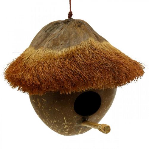 Artikel Kokosnuss als Nistkasten, Vogelhaus zum Hängen, Kokosnuss-Deko Ø16cm L46cm