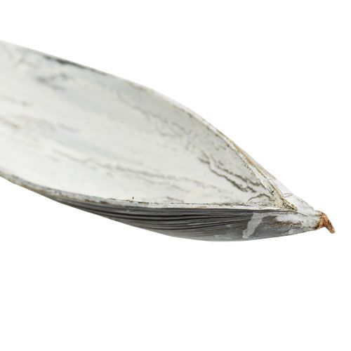 Artikel Kokosschale Kokosblatt weiß gewaschen 70cm